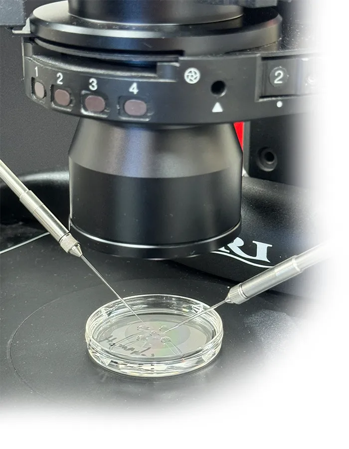 Closeup of monitoring device with two tools going into petri dish