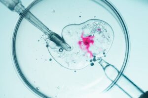 A microscopic view of an IVF procedure.