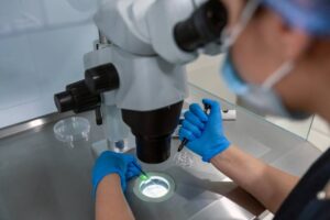 An embryologist performs ICSI IVF in a laboratory setting.