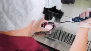 Close-up of the IVF procedure in a laboratory setting.
