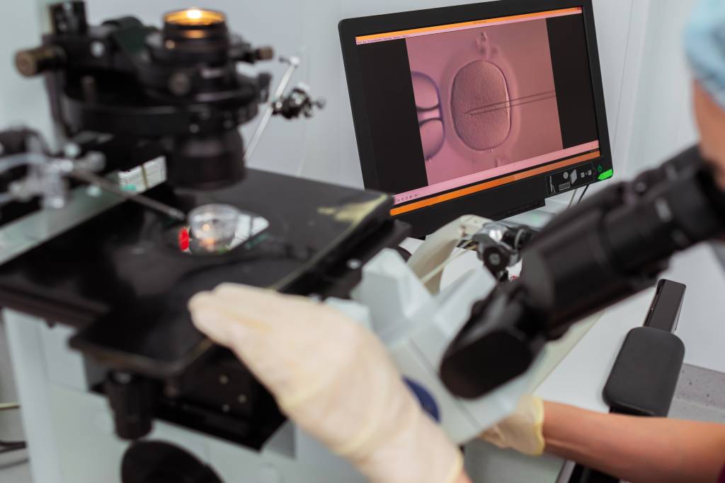 A glimpse into an IVF laboratory.